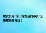 蛇女反向r閃（蛇女反向r閃什么原理簡介介紹）