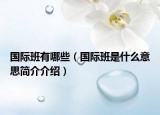 國際班有哪些（國際班是什么意思簡介介紹）