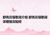 舒克貝塔歌詞介紹 舒克貝塔歌詞詳細(xì)情況如何