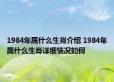 1984年屬什么生肖介紹 1984年屬什么生肖詳細(xì)情況如何