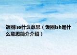 飯圈lss什么意思（飯圈lsh是什么意思簡介介紹）