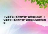 《父母愛(ài)情》電視劇在哪個(gè)島拍攝地點(diǎn)介紹 《父母愛(ài)情》電視劇在哪個(gè)島拍攝地點(diǎn)詳細(xì)情況如何