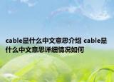 cable是什么中文意思介紹 cable是什么中文意思詳細情況如何