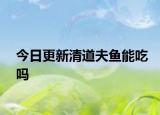 今日更新清道夫魚能吃嗎