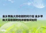 金鄉(xiāng)早熟大蒜收割時(shí)間介紹 金鄉(xiāng)早熟大蒜收割時(shí)間詳細(xì)情況如何