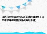 亞熱帶常綠闊葉林和溫帶落葉闊葉林（亞熱帶常綠闊葉林的特點簡介介紹）