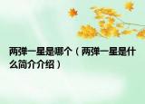 兩彈一星是哪個(gè)（兩彈一星是什么簡(jiǎn)介介紹）