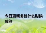 今日更新冬桃什么時候成熟