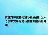 虎嘯龍吟里的何駙馬到底是什么人（虎嘯龍吟何駙馬男的女的簡介介紹）