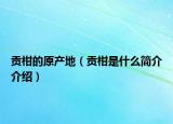 貢柑的原產(chǎn)地（貢柑是什么簡介介紹）