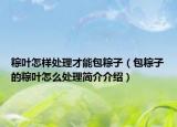粽葉怎樣處理才能包粽子（包粽子的粽葉怎么處理簡介介紹）