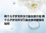 兩個(gè)兒子夢(mèng)見懷孕三胎女孩介紹 兩個(gè)兒子夢(mèng)見懷孕三胎女孩詳細(xì)情況如何