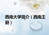 西南大學簡介（西南王廚）