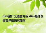 dim是什么語言介紹 dim是什么語言詳細情況如何