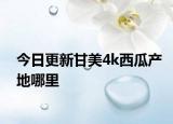 今日更新甘美4k西瓜產(chǎn)地哪里