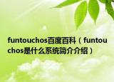 funtouchos百度百科（funtouchos是什么系統(tǒng)簡介介紹）