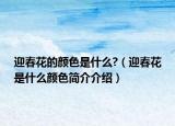 迎春花的顏色是什么?（迎春花是什么顏色簡介介紹）