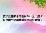 皮卡丘的那個(gè)動(dòng)畫(huà)片叫什么（皮卡丘是哪個(gè)動(dòng)畫(huà)片里面的簡(jiǎn)介介紹）