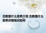 合數(shù)是什么意思介紹 合數(shù)是什么意思詳細(xì)情況如何