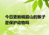 今日更新峨眉山的猴子是保護(hù)動(dòng)物嗎