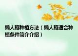 懶人稻種植方法（懶人稻適合種植條件簡介介紹）