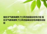 現(xiàn)在天氣越來越熱了口罩還能戴得住嗎介紹 現(xiàn)在天氣越來越熱了口罩還能戴得住嗎詳細情況如何