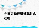 今日更新神機(jī)妙算什么動(dòng)物