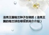 洛克王國格蘭種子在哪抓（洛克王國的格蘭球在哪里抓簡介介紹）