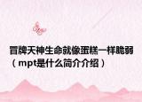冒牌天神生命就像蛋糕一樣脆弱（mpt是什么簡介介紹）