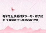 有子如此,夫復(fù)何求下一句（有子如此 夫復(fù)何求什么意思簡介介紹）