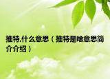 推特,什么意思（推特是啥意思簡(jiǎn)介介紹）