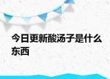 今日更新酸湯子是什么東西