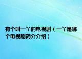 有個叫一丫的電視劇（一丫是哪個電視劇簡介介紹）