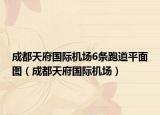 成都天府國(guó)際機(jī)場(chǎng)6條跑道平面圖（成都天府國(guó)際機(jī)場(chǎng)）