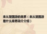 來從楚國(guó)游的意思（來從楚國(guó)游是什么意思簡(jiǎn)介介紹）