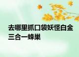 去哪里抓口袋妖怪白金三合一蜂巢