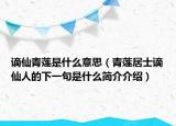 謫仙青蓮是什么意思（青蓮居士謫仙人的下一句是什么簡介介紹）