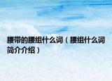 腰帶的腰組什么詞（腰組什么詞簡(jiǎn)介介紹）