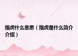 指虎什么意思（指虎是什么簡介介紹）