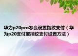 華為p20pro怎么設(shè)置指紋支付（華為p20支付寶指紋支付設(shè)置方法）