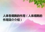 人體各細胞的作用（人體細胞的作用簡介介紹）