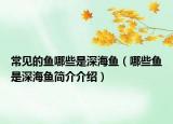 常見的魚哪些是深海魚（哪些魚是深海魚簡介介紹）