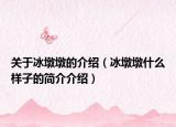 關(guān)于冰墩墩的介紹（冰墩墩什么樣子的簡介介紹）