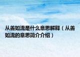 從善如流是什么意思解釋（從善如流的意思簡介介紹）