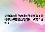 楊梅要怎樣存放才能放的更久（楊梅怎么保存能放時(shí)間長(zhǎng)一點(diǎn)簡(jiǎn)介介紹）