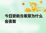 今日更新含羞草為什么會害羞