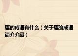 蓮的成語(yǔ)有什么（關(guān)于蓮的成語(yǔ)簡(jiǎn)介介紹）