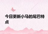 今日更新小馬的尾巴特點(diǎn)