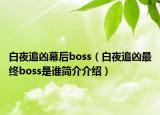 白夜追兇幕后boss（白夜追兇最終boss是誰(shuí)簡(jiǎn)介介紹）