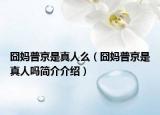 囧媽普京是真人么（囧媽普京是真人嗎簡(jiǎn)介介紹）